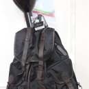 수원-0861 이미지