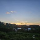 에파코팜 이미지