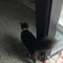 부림카센타 이미지