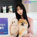 메리츠화재 이미지