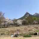 솔밭농장 이미지