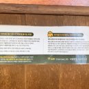밀팟 이미지
