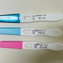 유한회사동아유통 이미지