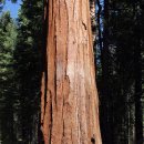 마리포사 이미지