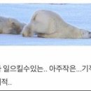 명동 파티·파티 이미지