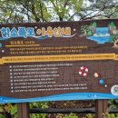 을수길 칡소폭포 이미지