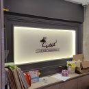 와와동물병원 이미지