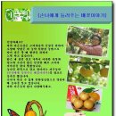 포인트농산