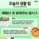심상 이미지