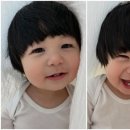 하루 마이데일리