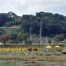 연인과 끌리다 이미지