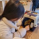 씨사이드모텔2 이미지