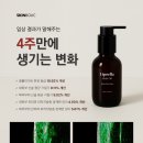 시리폰