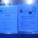 야누스 포켓볼 이미지