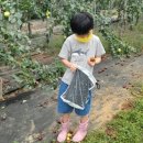 원복농장 이미지