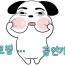 행복한 소풍 캠핑장 이미지