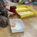 신통방통 미술나라 | 판교현대백화점 문화센터-신통방통 미술나라 통아트후기 ( 주차, 가을학기 수강신청, 취소/변경 환불...