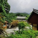 동화사 이미지