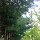 와룡세탁소 이미지