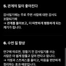 매일 쓰기의 힘 나만의 일기 | 일기어플추천 클로디 감사일기 장점 쓰는법 실천후기