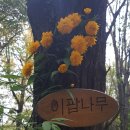 공인씨엠번역행정사 사무소 이미지