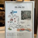 제주 중문 숙소｜초등 남매와 함께한 '스위트호텔 제주' 패밀리 벙커룸 투숙 조식 후기