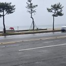 (주)게임아레나 | [포항 핫플] 비 오는 날 실내 데이트 추천! 아이랑 가기 좋은 레이저아레나 포항점 솔직 후기