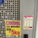 다온점핑다이어트 이미지
