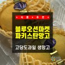 대박용과일 | 추천] 파키스탄망고 내돈내산급 솔직후기! 항공직송 고당도과일 생망고 맛집 블루오션마켓 대박 추천!!!