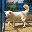 초희의 집 이미지