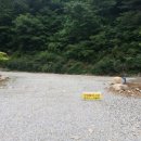 숲이조아캠핑장 이미지