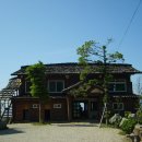 울릉산채 - 8743 | 울릉산채