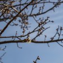 금호동 장미아파트 이미지