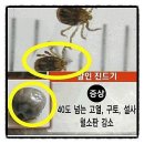 대풍건재