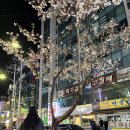 송해 노래연습장 이미지