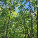 오상한의원 | 자율신경차단술 2주 입원 집중치료 후기 그리고 김주환 교수의 내면소통
