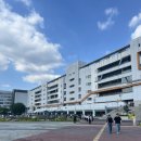 경마루 스테이 | 과천 렛츠런파크 및 2025 월디페 후기