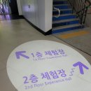 갤러리툰카페 | 춘천 토이로봇관 체험 16개 대만족 춘천 아이랑 가볼만한곳