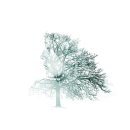 검빵이네 이미지