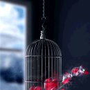 블루노트(나) 이미지