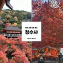 가을여행 | 지금부터 준비하는 가을 여행! 교토 단풍 명소, 청수사 방문 후기 (12월 초)