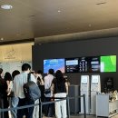 뽑기YO | [느리게 먹는 여자] YOSIGO 사진전 다녀온 후기🚶‍♀️