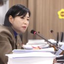 비서실 일간경기