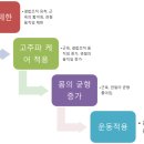 라온제나 클리니컬 운동센터 이미지