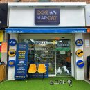 도그마캣작전
