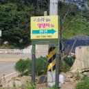 소라잡는댕댕이 | 안면도 애견동반 펜션 고민말고 소라잡는댕댕이펜션