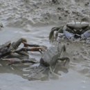 해넘이바다 이미지