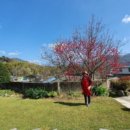 이층민박 이미지