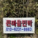 영산홍민박 | 서해섬여행 섬트레킹 덕적도 백아도 깨끗한 민박 추천 큰마을민박 : 이곳은 알고 보니 백반 맛집이네!