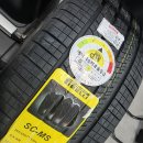 천안아산자동차검사장 | 천안아산 피렐리타이어 아우디 Q8 e-tron GT - 265/45R21 108V 스콜피온 MS 교체후기